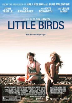 "Little Birds" (2011) PL.DVDRiP.XViD-PSiG