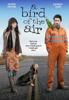 "A Bird of the Air" (2011) PL.DVDRip.XviD.AC3-inTGrity