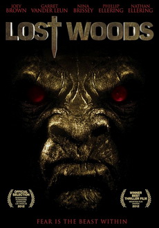 "Lost Woods" (2012) VODRiP.AC3.XviD-AXED