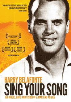 "Sing Your Song" (2011) LIMITED.DVDRip.XviD-NOSCREENS