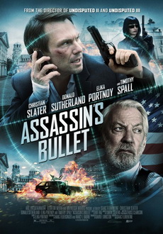 "Assassin's Bullet" (2012) VODRip.READNFO.XviD.AC3-MAJESTiC