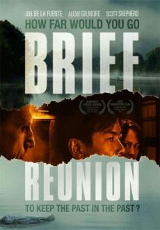 "Brief Reunion" (2011) UNRATED.HDRip.XviD-AQOS