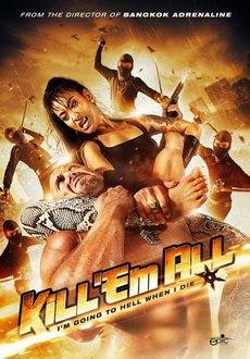 "Kill 'em All" (2012) PL.DVDRip.XviD-GHW