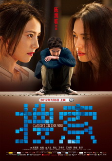 "Caught in the Web" (2012) DVDRip.XviD.AC3-KG