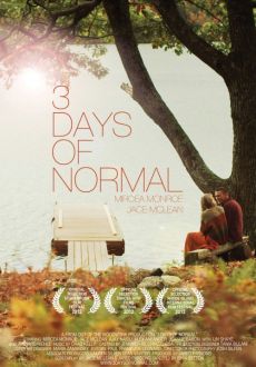 "3 Days of Normal" (2012) WEBrip.XviD.AC3-MiLLENiUM