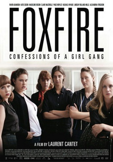 "Foxfire" (2012) DVDRip.x264-FiCO