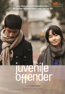 "Juvenile Offender" (2012) PL.HDRip.XviD-aX