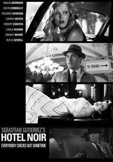 "Hotel Noir" (2012) 480p.BRRip.XviD.AC3-EVO