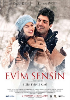 "Evim Sensin" (2012) DVDRip.XviD.AC3-LTRG