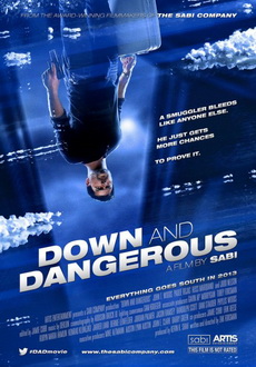 "Down and Dangerous" (2013) BDRip.x264-SONiDO