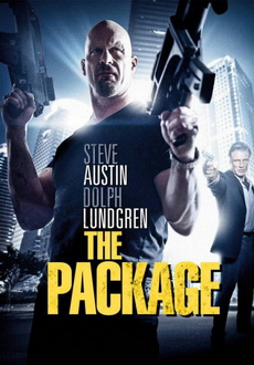 "The Package" (2012) PL.BRRiP.XViD-PSiG