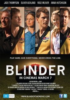 "Blinder" (2013) BDRip.x264-PFa