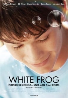 "White Frog" (2012) DVDRip.XviD.AC3-MiLLENiUM