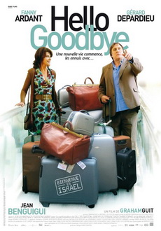 "Hello Goodbye" (2008) DVDRip.XviD-FiCO