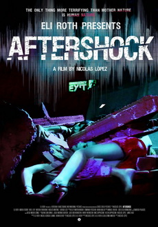 "Aftershock" (2012) LIMITED.BDRip.X264-GECKOS