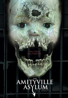 "The Amityville Asylum" (2013) BDRip.x264-NOSCREENS