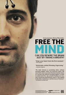 "Free the Mind" (2012) DVDRip.x264-WaLMaRT