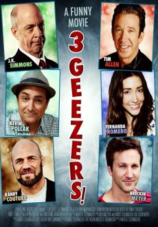 "3 Geezers" (2013) DVDRiP.XViD-SML