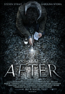 "After" (2012) LIMITED.DVDRiP.X264-TASTE