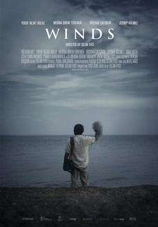 "Winds" (2013) DVDRip.x264.AC3-PSiF