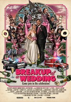 "Breakup at a Wedding" (2013) HDRip.XviD-AQOS