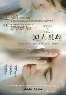 "Touch of the Light" (2012) BDRip.x264-BiPOLAR