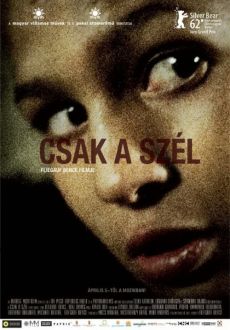 "Csak a szél" (2012) PL.DVDRip.XviD-Zet