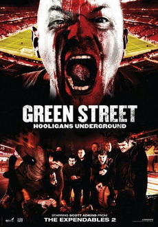 "Green Street 3: Never Back Down" (2013) DVDRiP.X264-TASTE