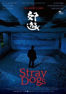 "Stray Dogs" (2013) SUBBED.DVDRip.x264.HORiZON-ArtSubs 