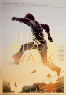 "These Birds Walk" (2013) LiMiTED.DVDRip.x264-LPD