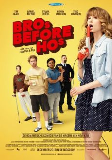 "Bro's Before Ho's" (2013) DVDRip.x264-EXViD