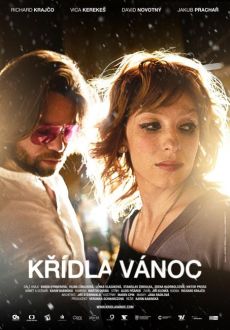 "Kridla Vanoc" (2013) DVDRip.XviD.AC3-NoGRP