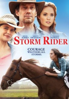 "Storm Rider" (2013) DVDRip.x264-WaLMaRT