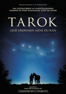 "Tarok" (2013) BDRip.x264-RCDiVX