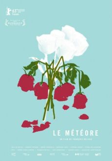 "The Meteor" (2013) DVDRip.x264.AC3-JP