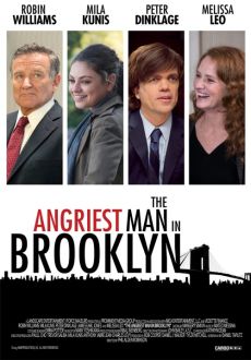 "The Angriest Man in Brooklyn" (2014) EXTENDED.DVDRip.x264-PSiG