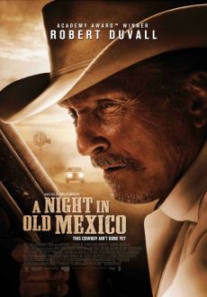 "A Night in Old Mexico" (2013) BDRip.x264-NODLABS