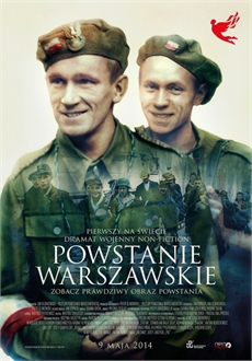 "Powstanie Warszawskie" (2014) PL.DVDRiP.x264-PSiG