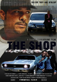 "The Shop" (2014) DVDRip.x264.AC3-PLAYNOW