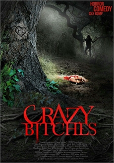 "Crazy Bitches" (2014) WEB-DL.XviD.AC3-RARBG