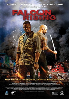 "Falcon Rising" (2014) LIMITED.BDRip.x264-VETO