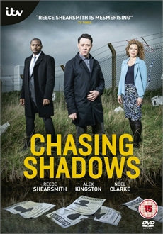 "Chasing Shadows" [S01] DVDRip.x264-iNGOT