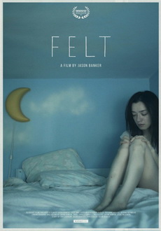 "Felt" (2014) DVDRip.x264-BiPOLAR