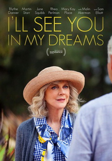 "I'll See You in My Dreams" (2015) PL.BDRiP.x264-PSiG