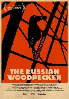 "The Russian Woodpecker" (2015) 480p.x264-mSD