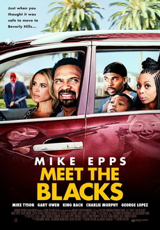 "Meet the Blacks" (2016) BDRip.x264-GECKOS