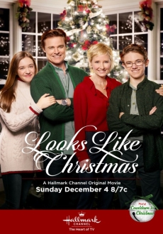 "Looks Like Christmas" (2016) HDTV.x264-BRISK