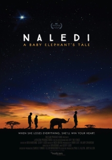 "Naledi: A Baby Elephant's Tale" (2016) WEBRip.x264-RARBG