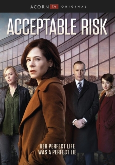 "Acceptable Risk" [S01] BDRip.x264-ROVERS