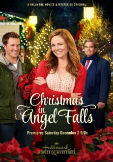 "Christmas in Angel Falls" (2017) HDTV.x264-W4F